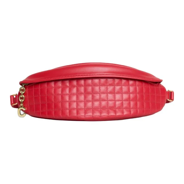 CELINE Fanny Packs-0
