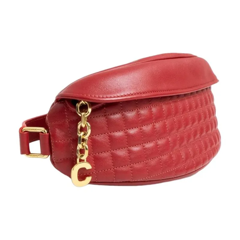 CELINE Fanny Packs-1