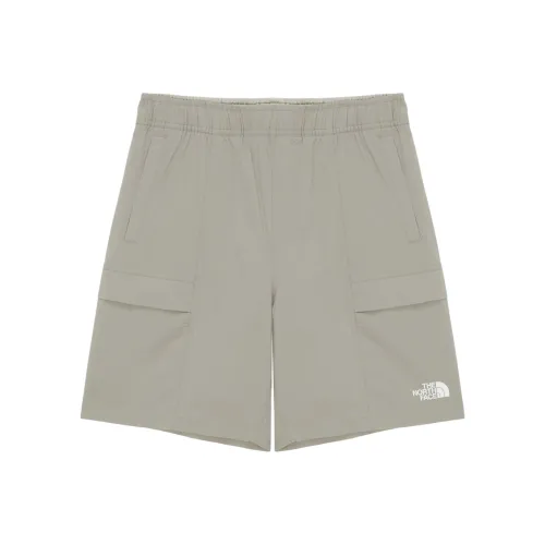 THE NORTH FACE ICEDAY Casual Shorts Women's Gray Beige