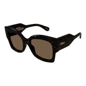 Chloe Acetate Irregular Shape Sunglasses Unisex Tortoiseshell