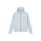 Light Gray Blue