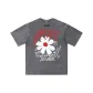 Gray (Red) Color