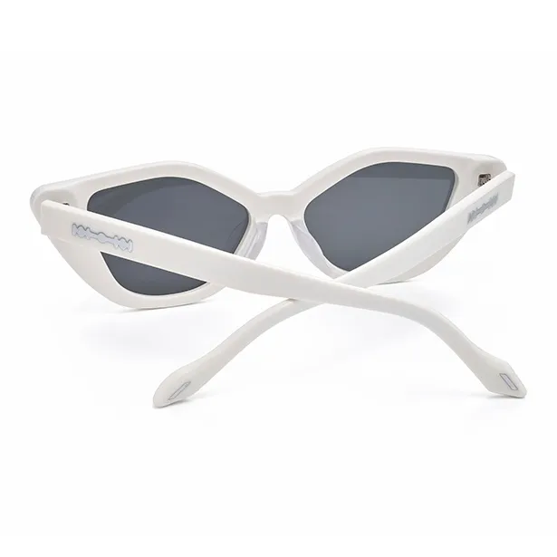 THE OWNER Plate Frame Irregular Shape Sunglasses Unisex-3
