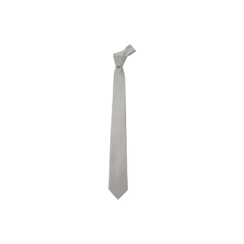 Tagliatore Polyester Ties Men's Gray-0
