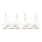 White+White