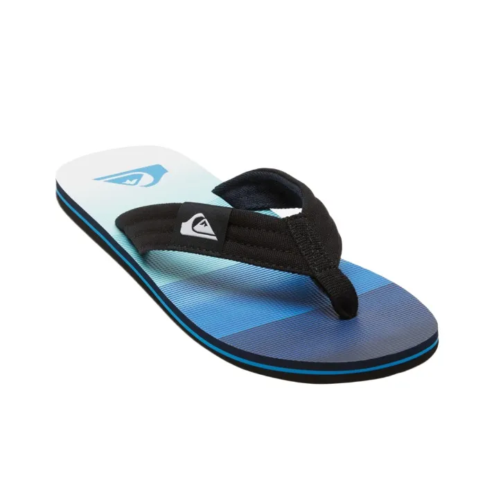 Quiksilver Flip Flops Men's Blue-2