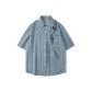 Blue Plaid