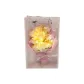 9 Pieces Champagne Rose-Baby's Breath[PVC Box+LED Lights+Greeting Card]
