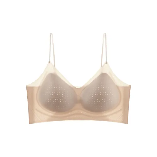 2323 Women's Bras