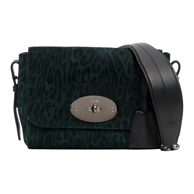 Mulberry Leather Shoulder Bag-0