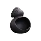 Black Gourd