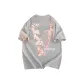 Dove Feather Gray