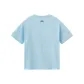 Light Aqua Blue