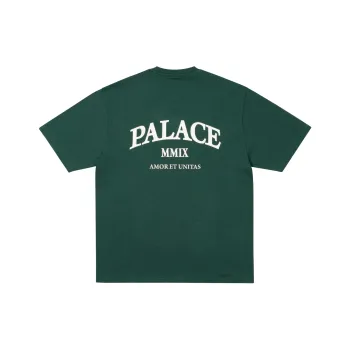 PALACE T Shirts Unisex Green