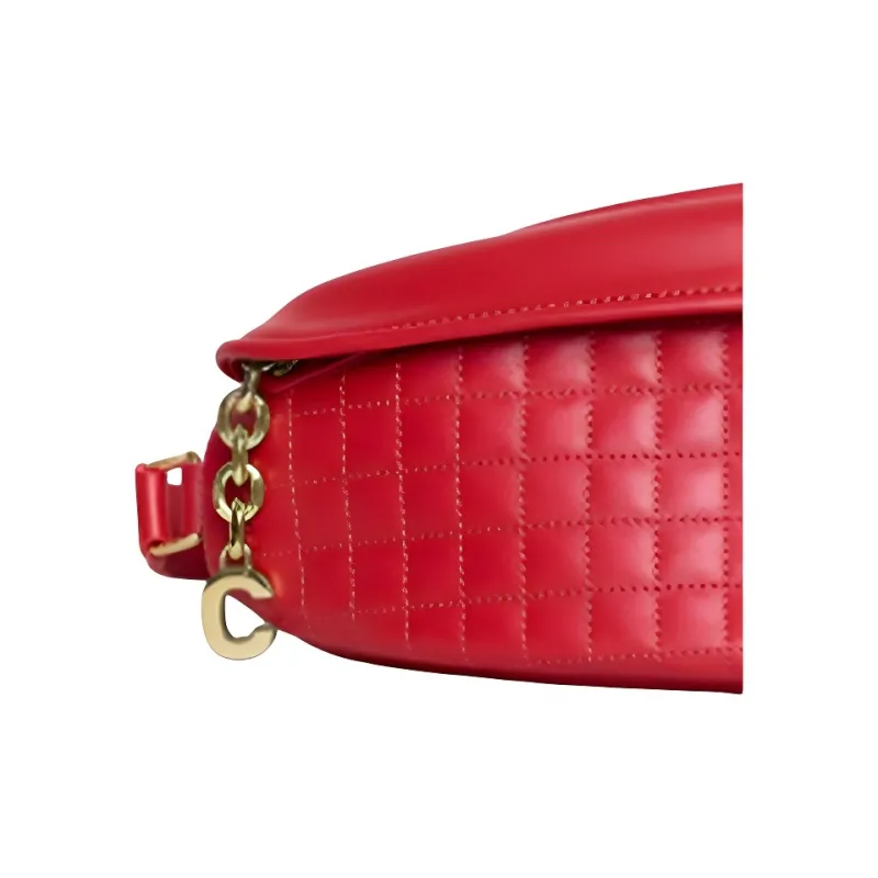 CELINE Fanny Packs-3