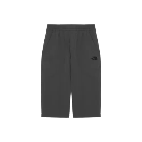 THE NORTH FACE Casual Shorts Men's Charcoal