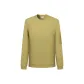 701-Yellow Green