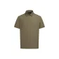 Kelp Green