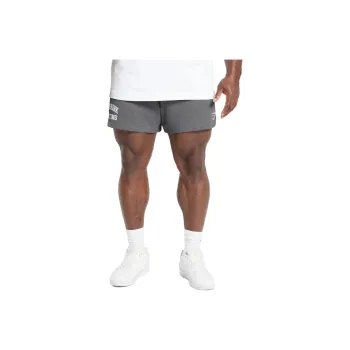 GYMSHARK Lifting Mesh 5' Shorts Casual Shorts Men's Gray