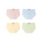 G Set: Pink+Blue+Yellow+Green