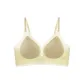 Champagne White