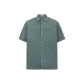 Gray Green