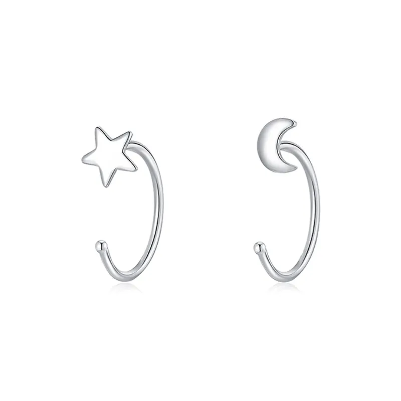 AIDIER 999 Fine Silver Earrings Women's-0