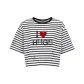 H12 Black with White Stripes