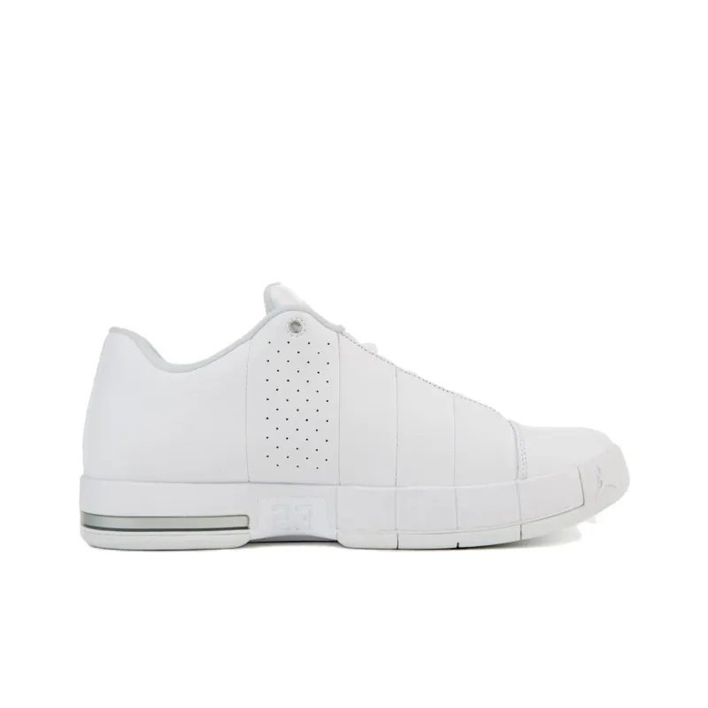 JORDAN Team Elite 2 Low White Metallic Silver-1