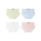D Set: Green+Blue+White+Pink