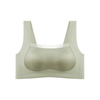 2323 Women's Bras