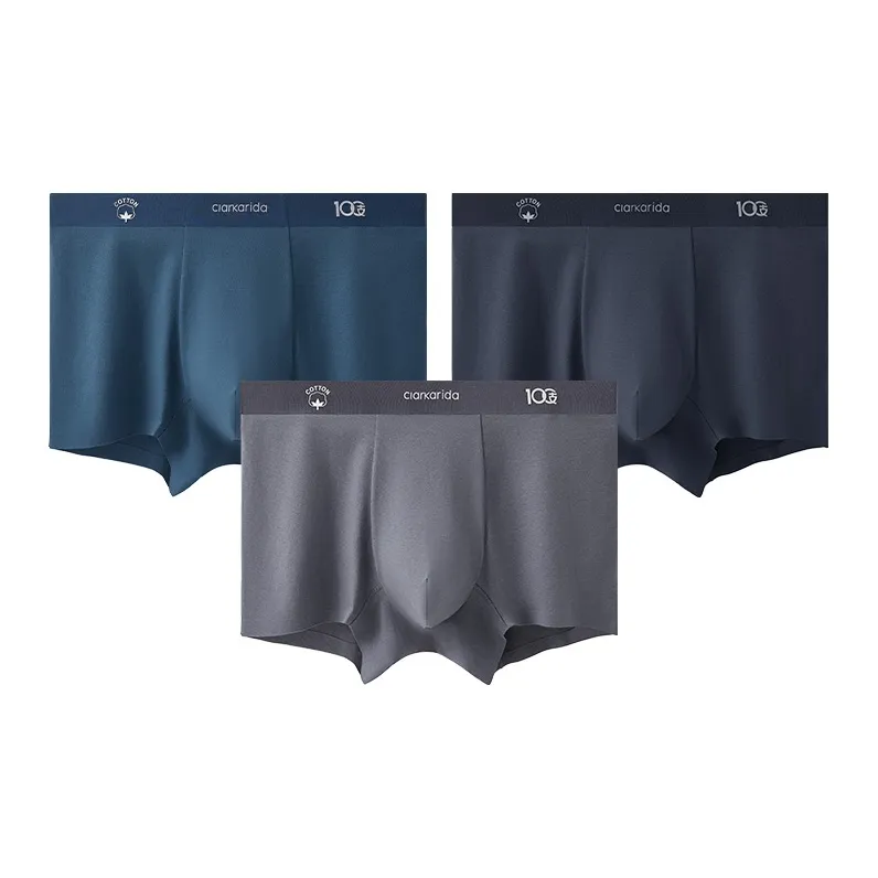 Clarkarida Underpants Men's 3 Pack-10