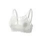 Gardenia White