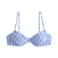 Blue Stripes