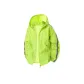 Neon Green