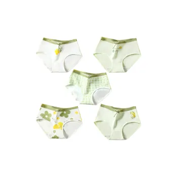 The Temptation Of The Muse Underpants Women's 5 Pack