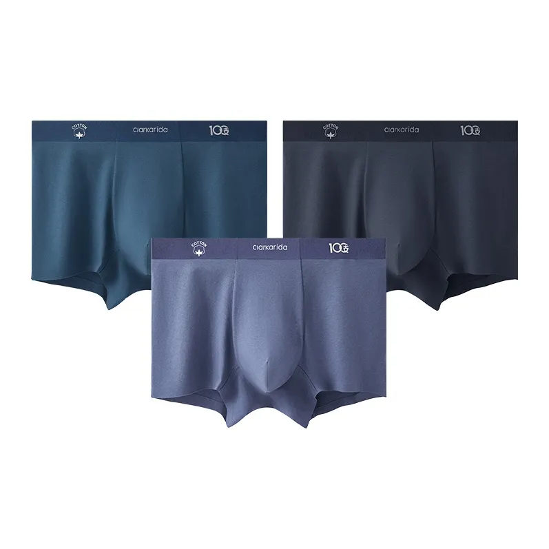 Clarkarida Underpants Men's 3 Pack-12