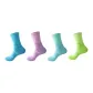 Carolina Blue+Mint Green+Purple+Bright Green