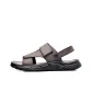 Brown Gray