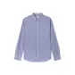 Collegiate Blue