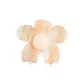 Orange Claw Clip