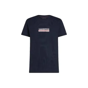 Tommy Hilfiger T Shirt Men's Blue