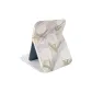 White Tulip
