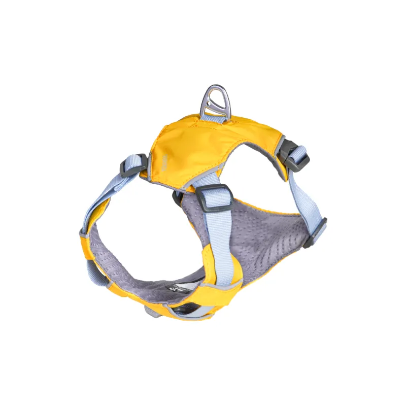 Touchdog Leashes-1