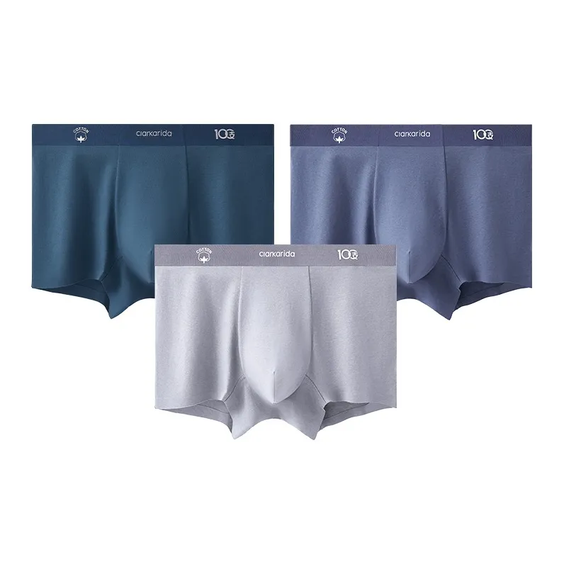 Clarkarida Underpants Men's 3 Pack-11