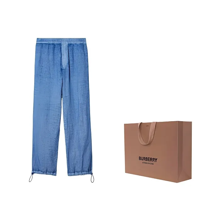 Burberry SS24 Casual Pants Men's Blue-2