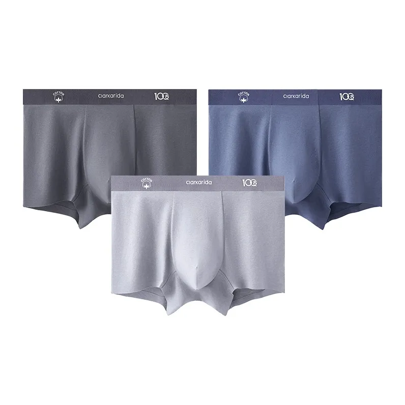 Clarkarida Underpants Men's 3 Pack-13