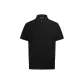 Obsidian Black