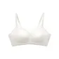 Champagne White