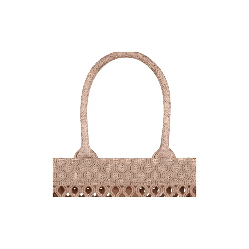 DIOR BookTote Handbags-4